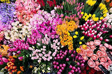 恐怖FPS《斯盖尔仪式》Steam体验版6月14日上线