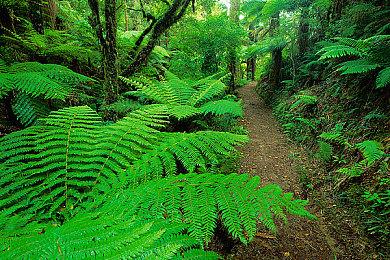 《罗布乐思》9月登陆Quest VR 10月登陆PS主机